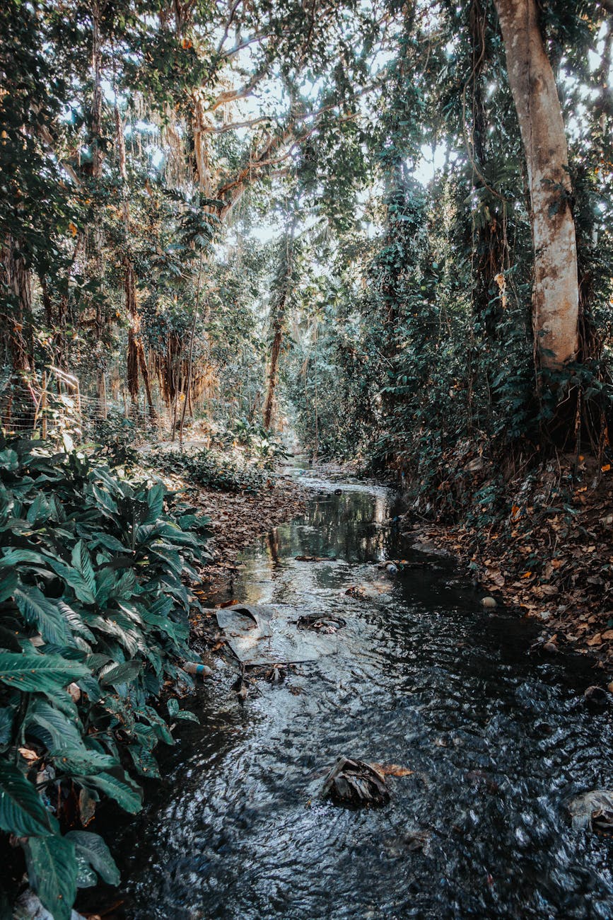 Dumaguete the City of Gentle People in the Philippines: Things To Do And Places To&nbsp;Visit